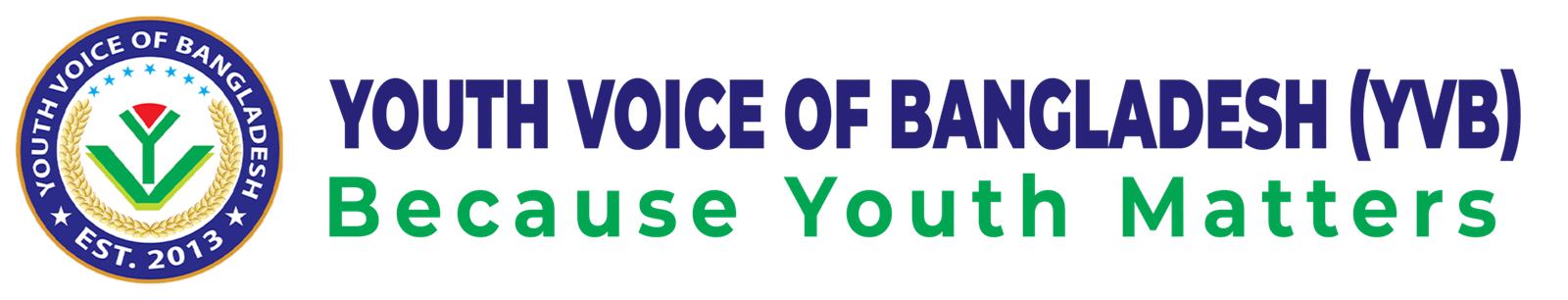 youth voice logo